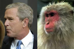 �������뤵����������